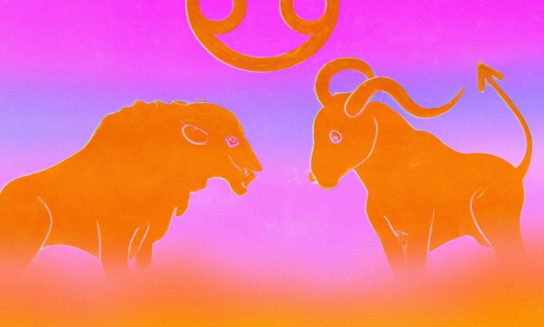 Unlocking the Secrets of Taurus and Leo Chemistry in the Bedroom