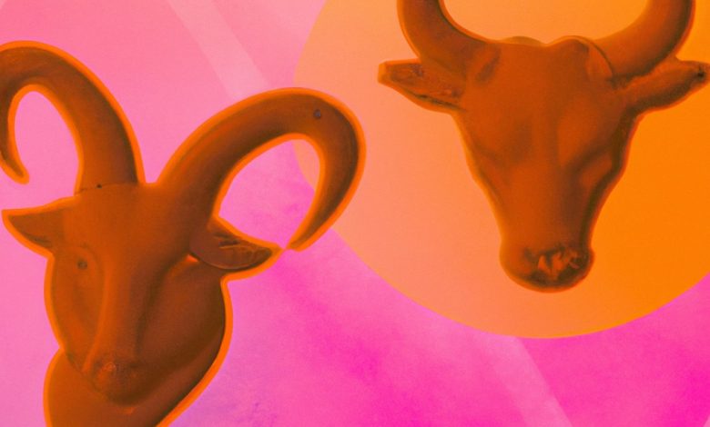 Unlocking the Secrets of Taurus and Capricorn Chemistry in the Bedroom